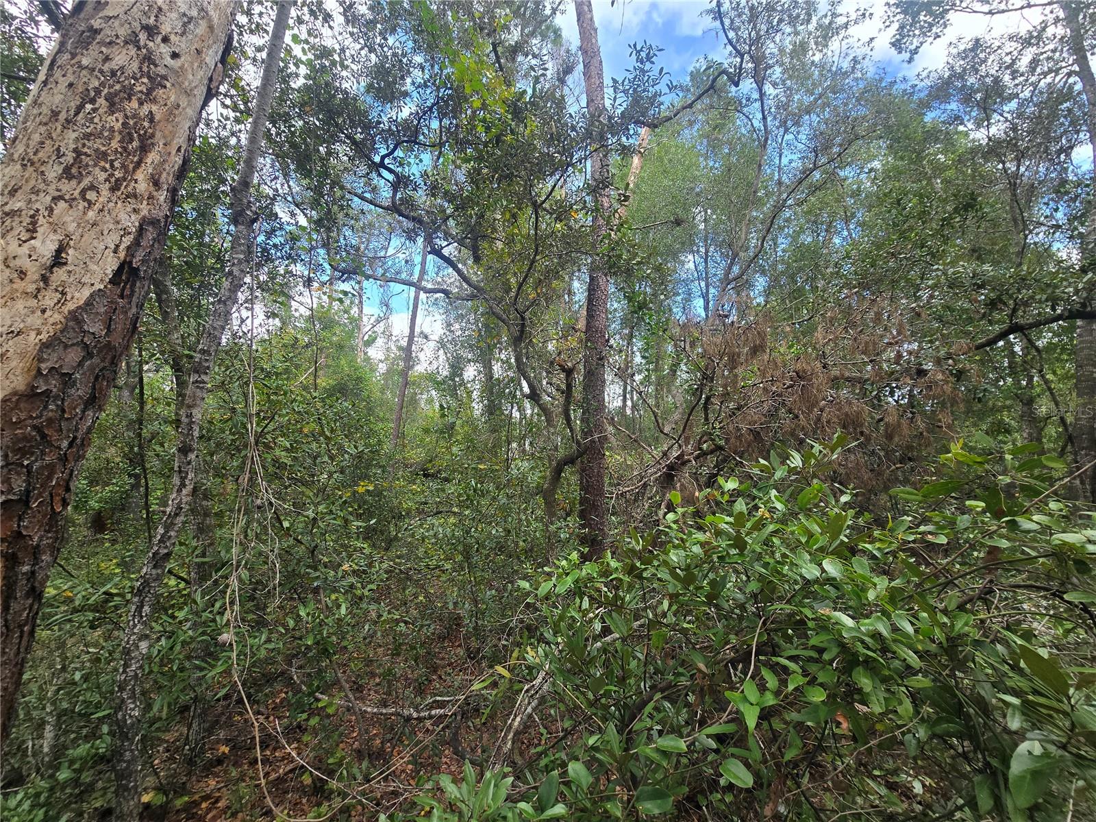 INVERNESS VILLAGE UNIT 03 - Land