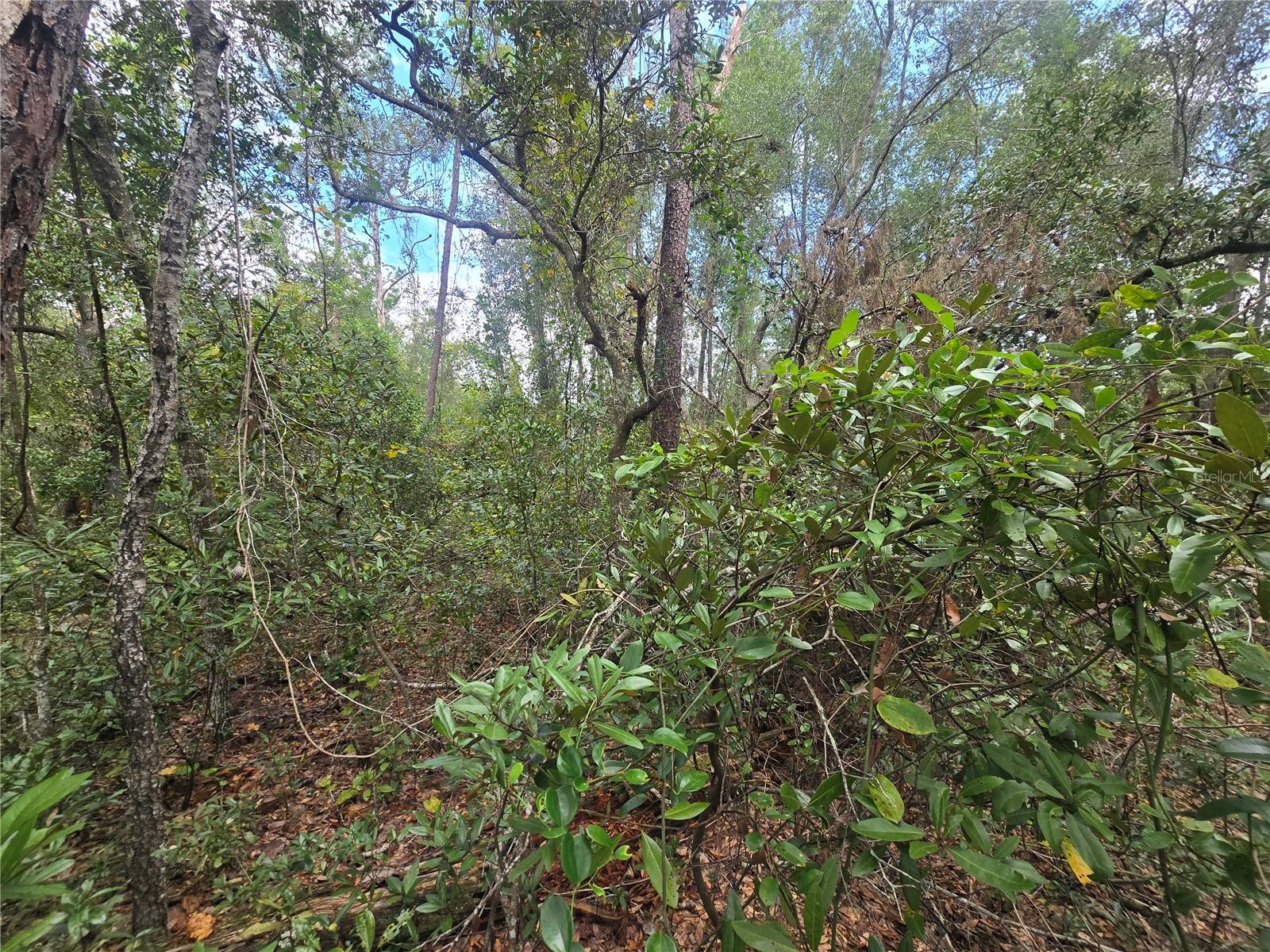 INVERNESS VILLAGE UNIT 03 - Land