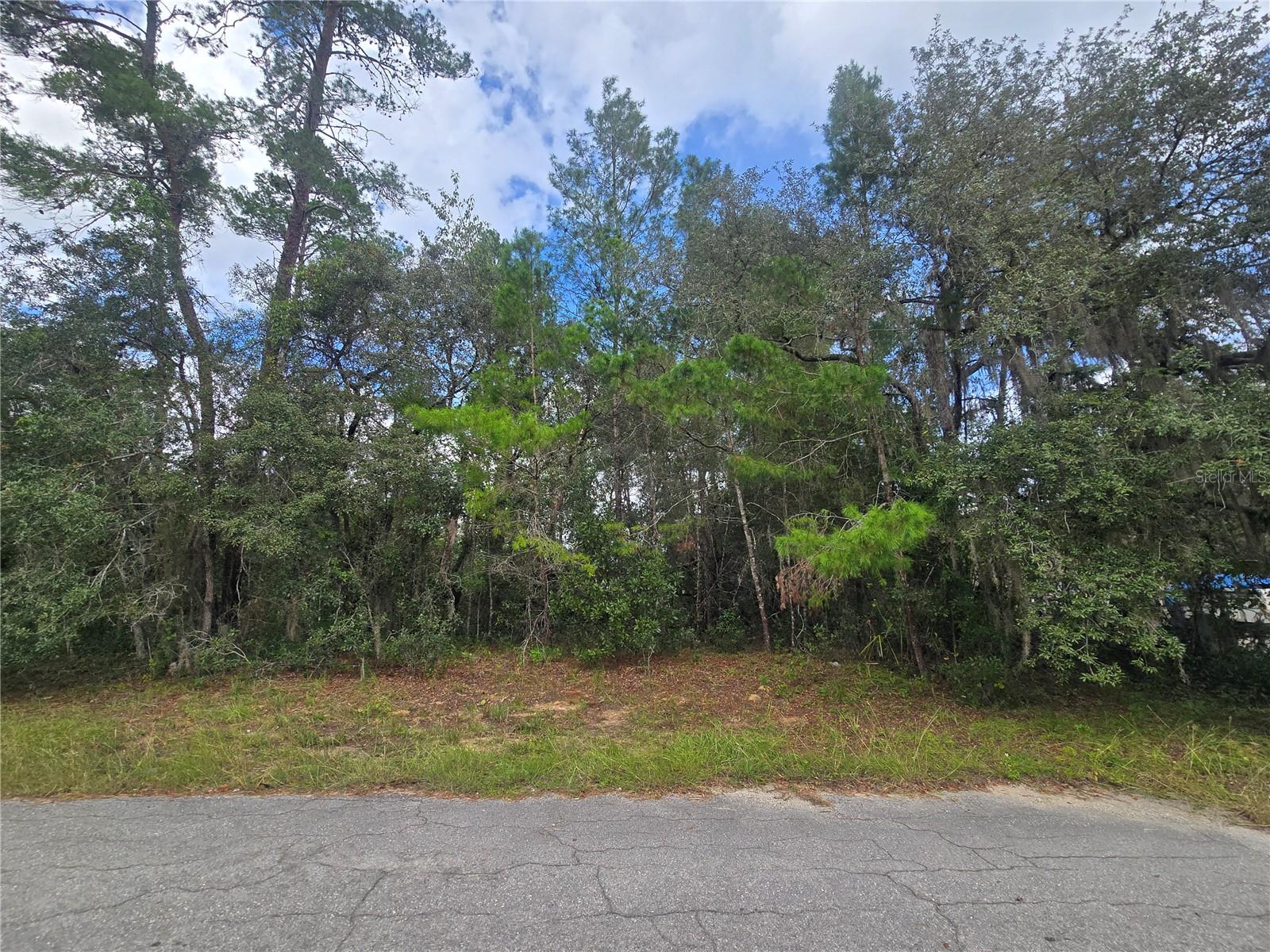 3006 CLEARWOOD STREET