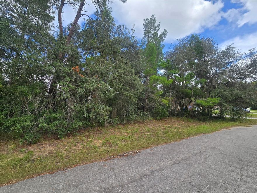 Make an investment in a thriving area! This 0.23-acre parcel sits patiently in Inverness, Florida, and is centrally located near major shopping, restaurants, hospitals, fitness centers, bicycle trails, and more. Inverness offers the opportunity to live and work locally with plenty of outdoor recreation nearby. Take the back roads out to Citrus Wildlife Management Area for trails, hunting, and nature, or enjoy Liberty Park, local lakes, and state trails for a more developed outdoor experience. Paved road access, high and dry, and free from flood hazards. Owner previously planned for a duplex, and similar properties can be found nearby—offering great potential for investment or future development.