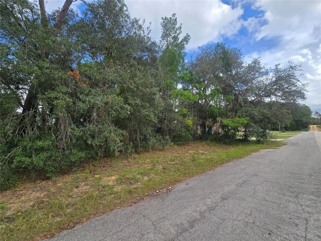Photo of 3006 Clearwood Street, Inverness, FL 34452 (MLS # OM711241)