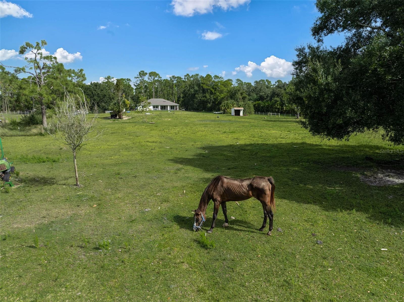 NORTH PORT CHARLOTTE ESTATES ADD 02 - Residential
