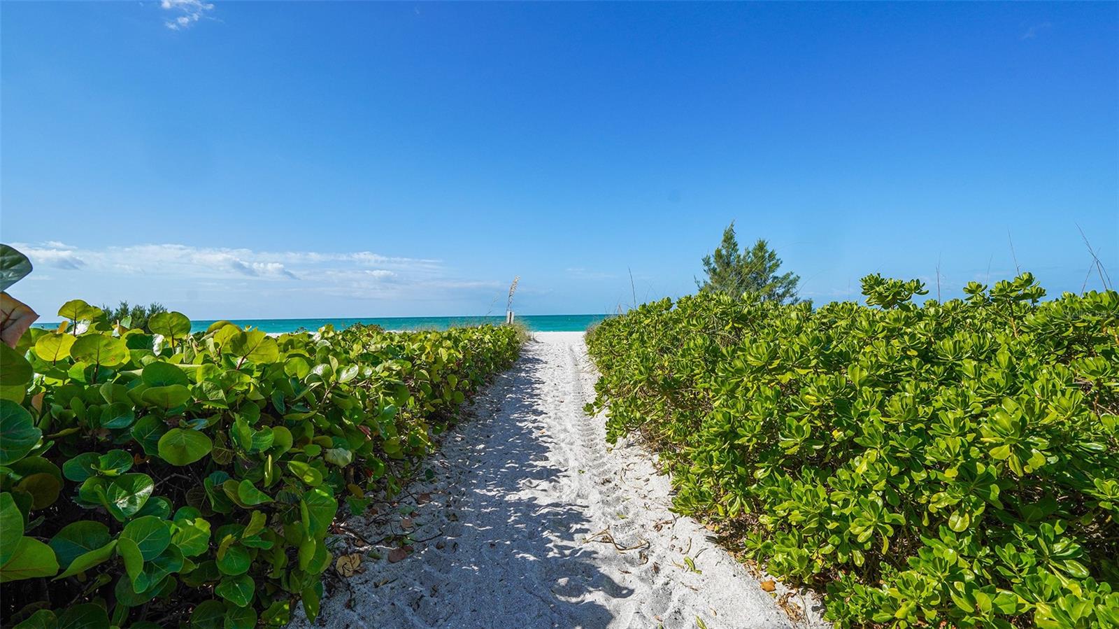 VIZCAYA AT LONGBOAT KEY PH 01 - Residential