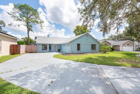 A home in TAMPA