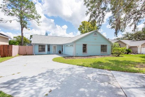 A home in TAMPA