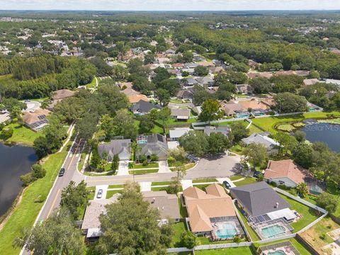 A home in TAMPA