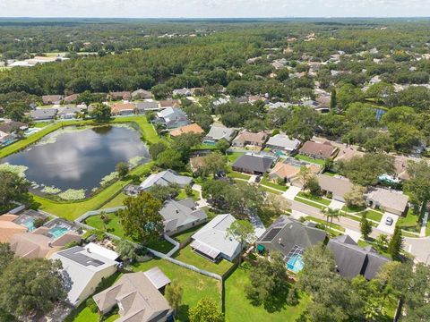 A home in TAMPA