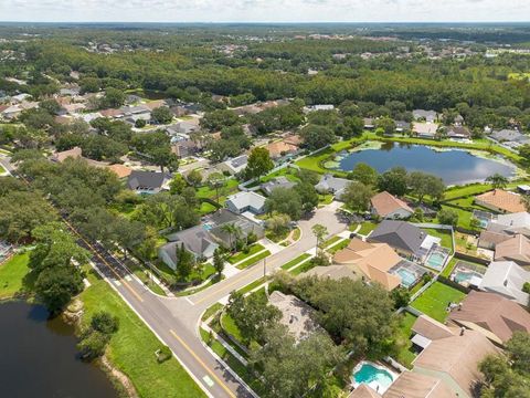 A home in TAMPA