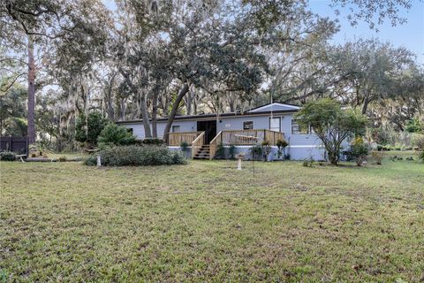 Photo of 33250 Irongate Drive, Leesburg, FL 34788 (MLS # O6267672)