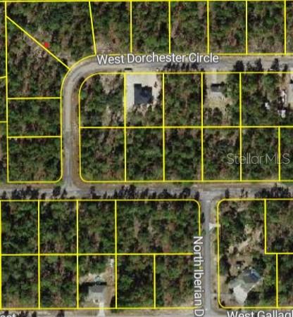 Come Build Your Dream Home in Citrus Springs, FL!
Discover this remarkable vacant lot in the peaceful community of Citrus Springs – the perfect canvas to build your dream home.
Nestled in a serene natural setting, this property offers:
Spacious lot with plenty of room to create the home you’ve always envisioned.
Convenient location close to restaurants, stores, schools, parks, and endless recreational activities.
Growing community with new home construction nearby, making it a highly desirable area for future appreciation.
Opportunities like this don’t last long in Citrus Springs. Schedule your visit today and secure your piece of Florida paradise!