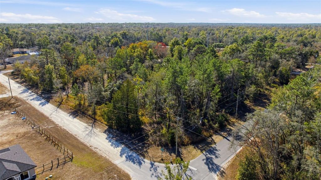 Photo of 12246 Millington Avenue, Brooksville, FL 34614 (MLS # TB8465985)