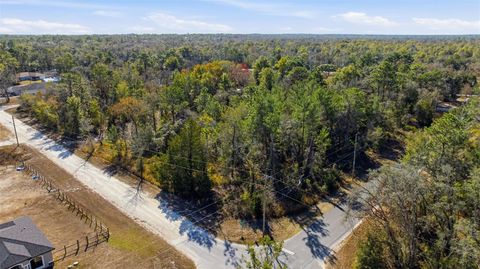 12246 MILLINGTON AVENUE BROOKSVILLE FL 34614