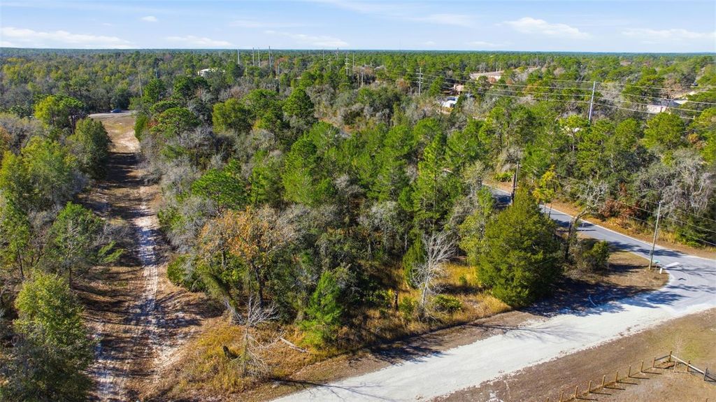 Photo of 12246 Millington Avenue, Brooksville, FL 34614 (MLS # TB8465985)