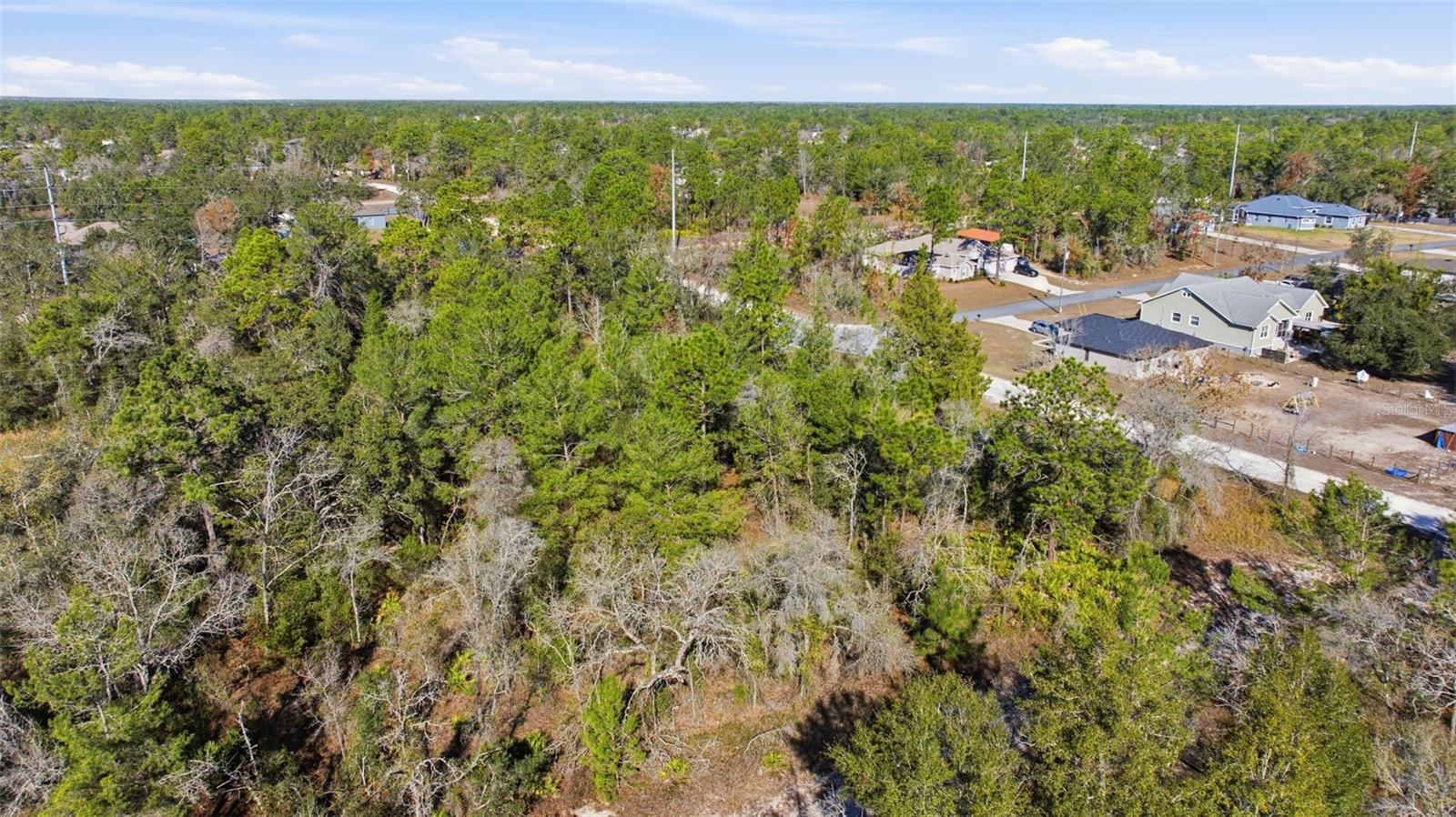 12246 MILLINGTON AVENUE