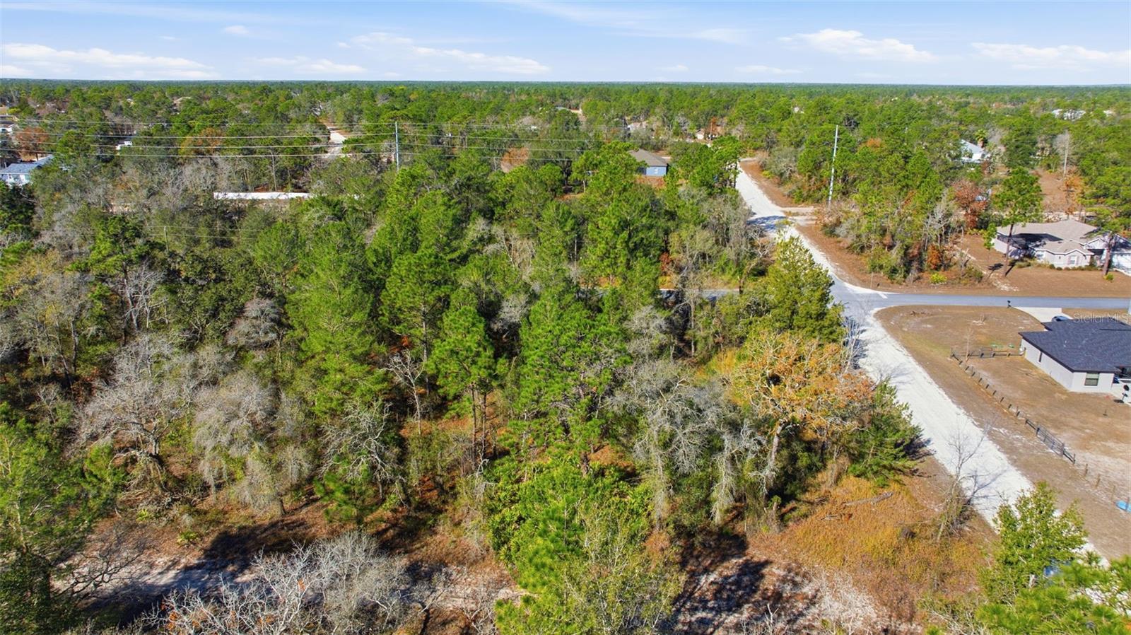 12246 MILLINGTON AVENUE