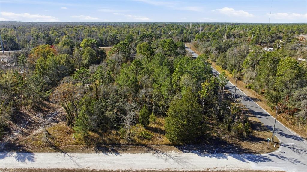 Photo of 12246 Millington Avenue, Brooksville, FL 34614 (MLS # TB8465985)