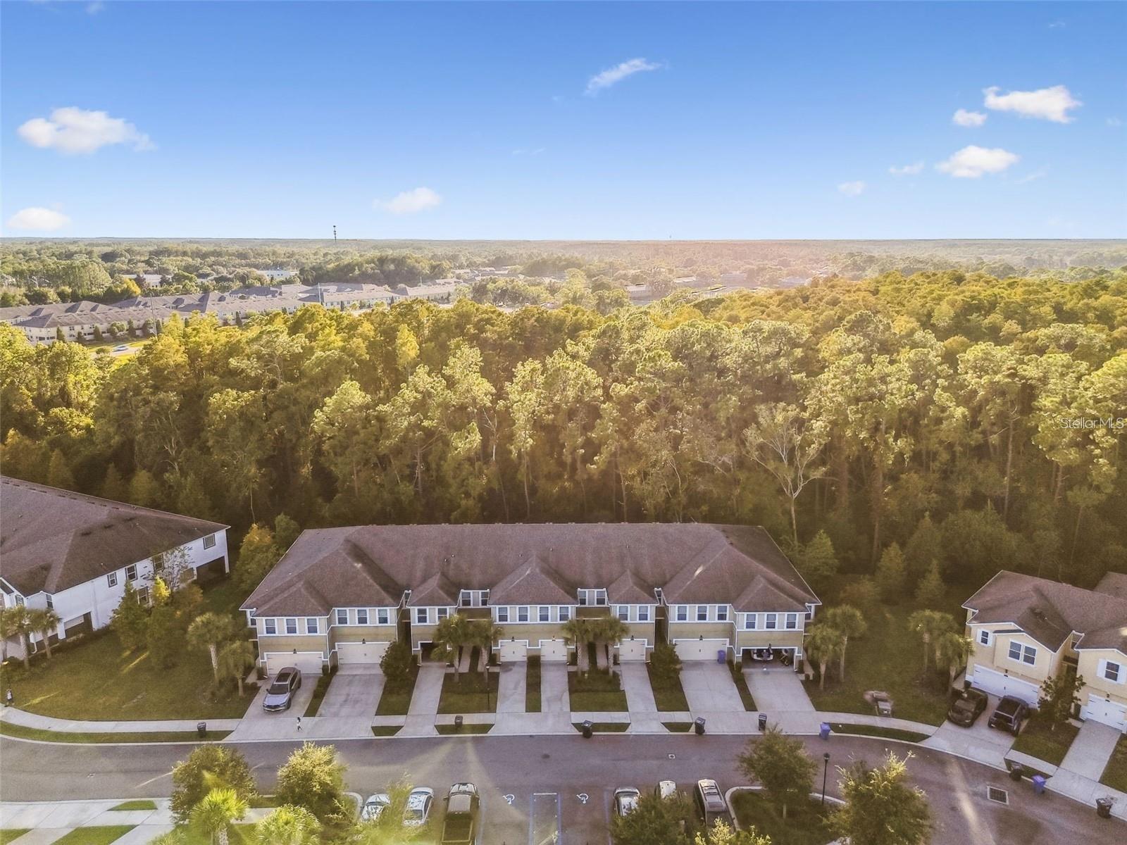 LAKESHORE PRESERVE - Residential