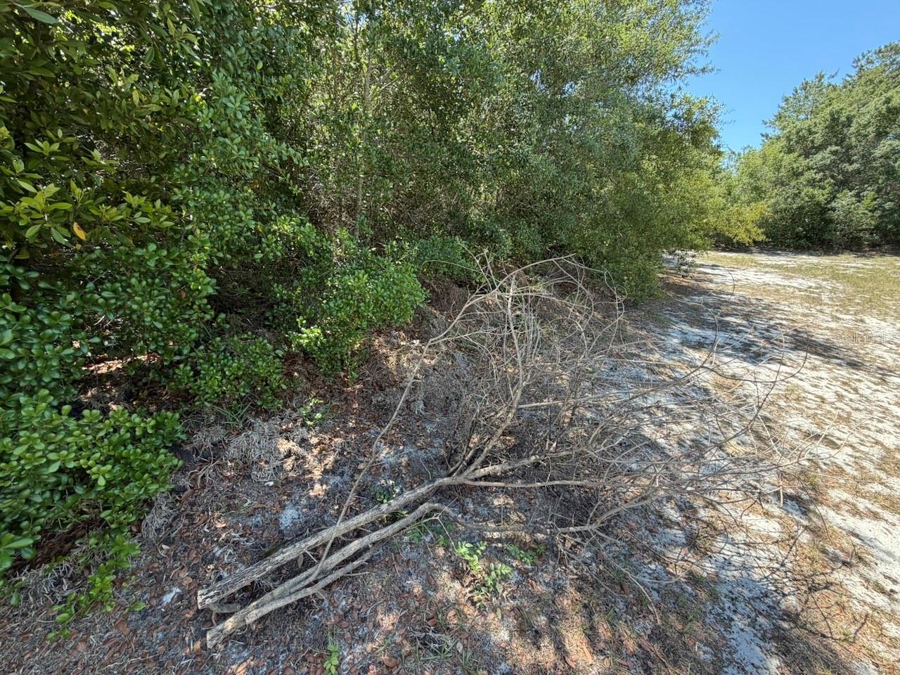 lOTS 37 & 38 KATMAI DRIVE