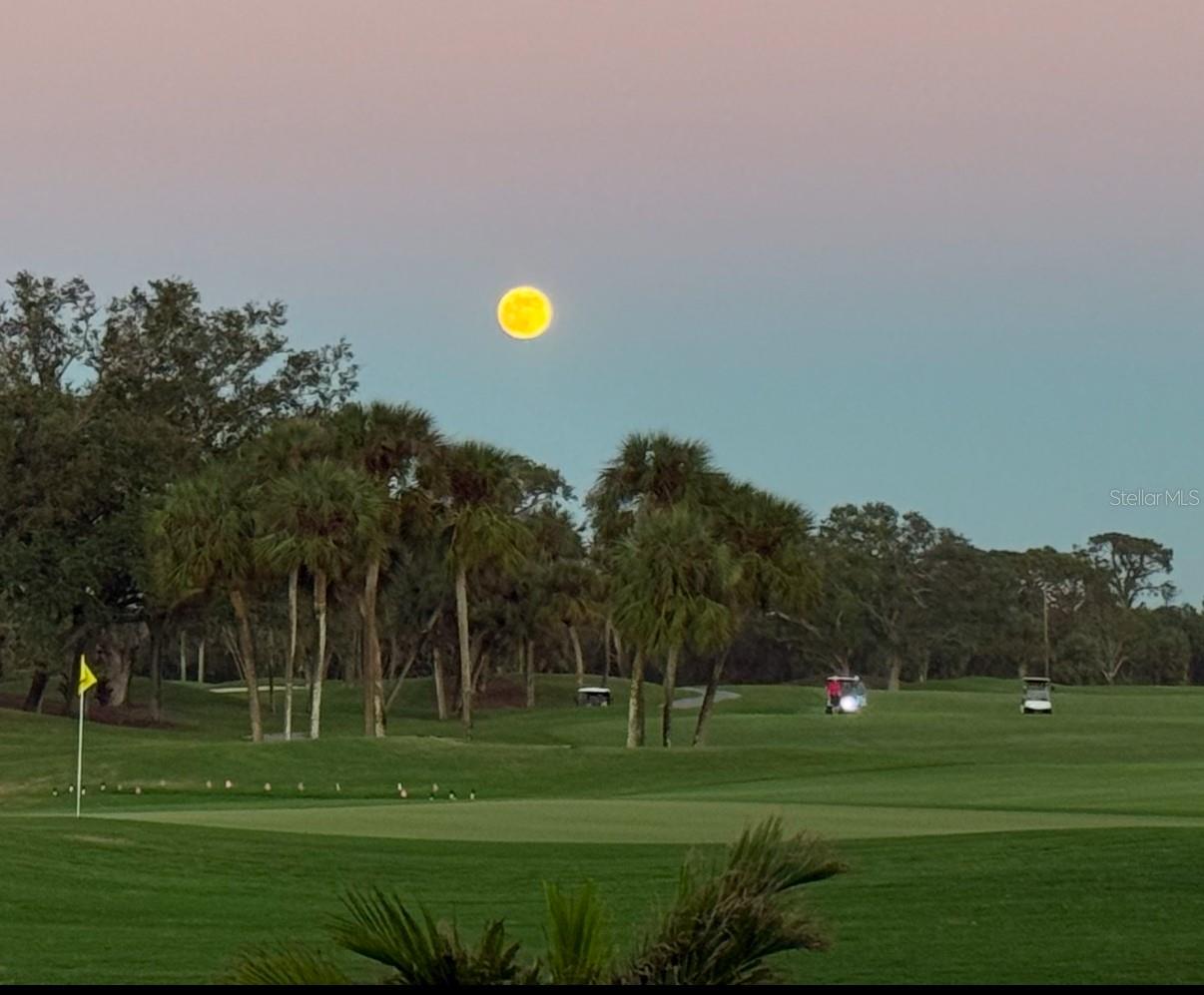 VENICE GOLF & COUNTRY CLUB - Residential