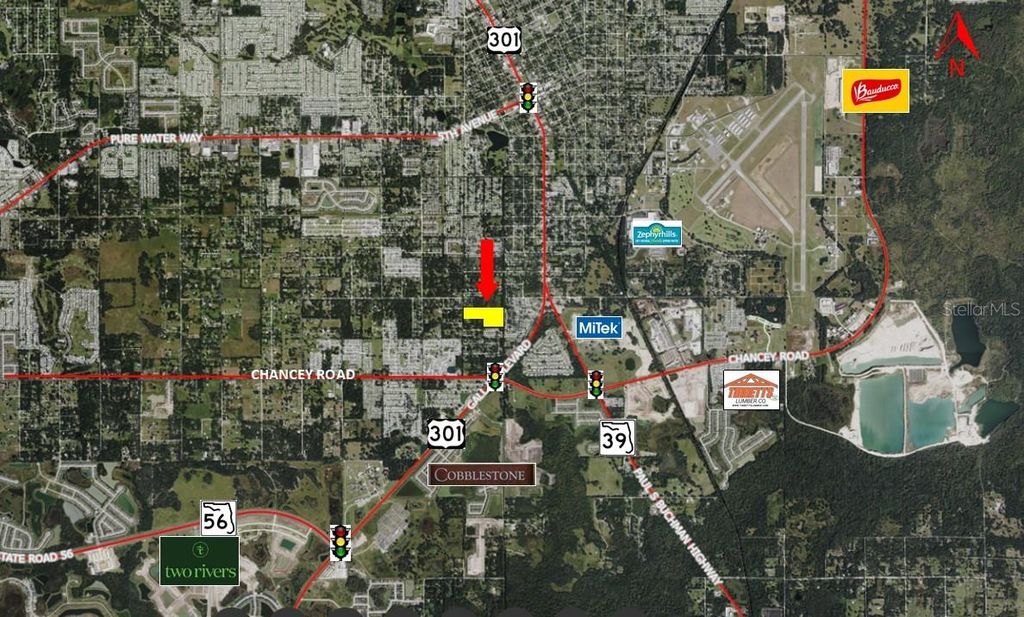 Photo of 3902 Autumn Palm Drive, Zephyrhills, FL 33541 (MLS # TB8481267)