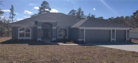 Photo of 12334 Snow Goose Avenue, Brooksville, FL 34614 (MLS # OM715209)