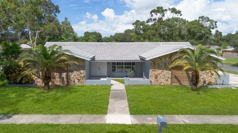 A home in PALM HARBOR