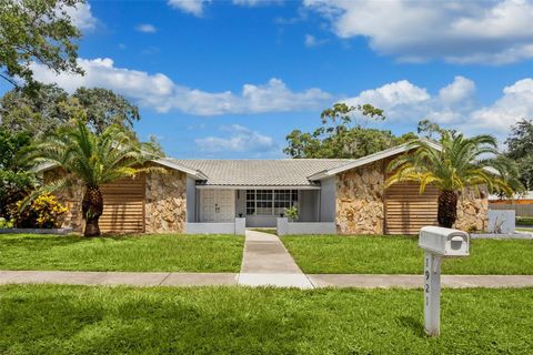 A home in PALM HARBOR