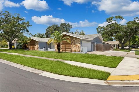 A home in PALM HARBOR