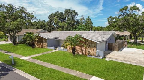 A home in PALM HARBOR