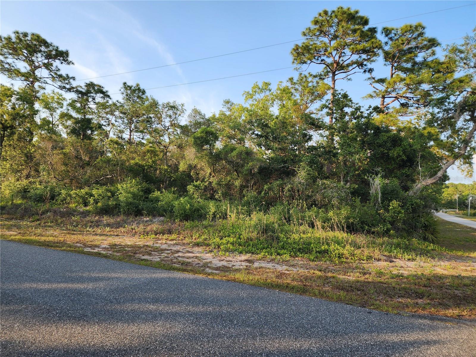 ROYAL TRAILS UNIT 01 - Land