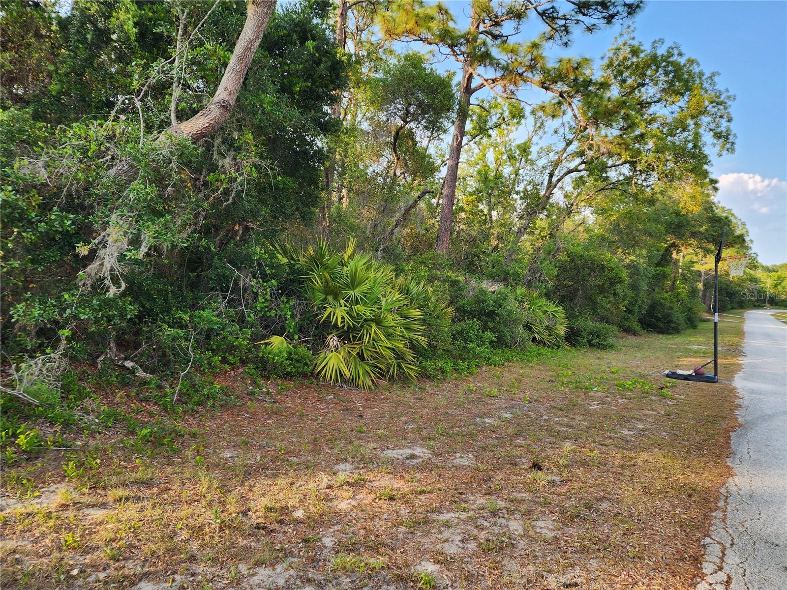 ROYAL TRAILS UNIT 01 - Land