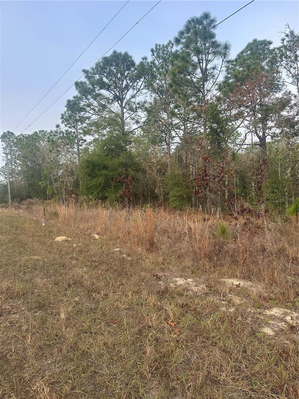 Photo of 00 SW 54th Lane Road, Ocala, FL 34481 (MLS # OM715101)