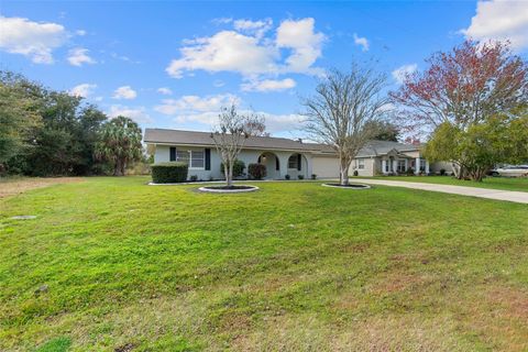 A home in PALM COAST