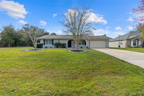 A home in PALM COAST