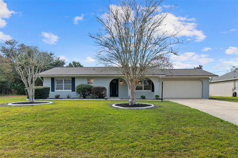 A home in PALM COAST