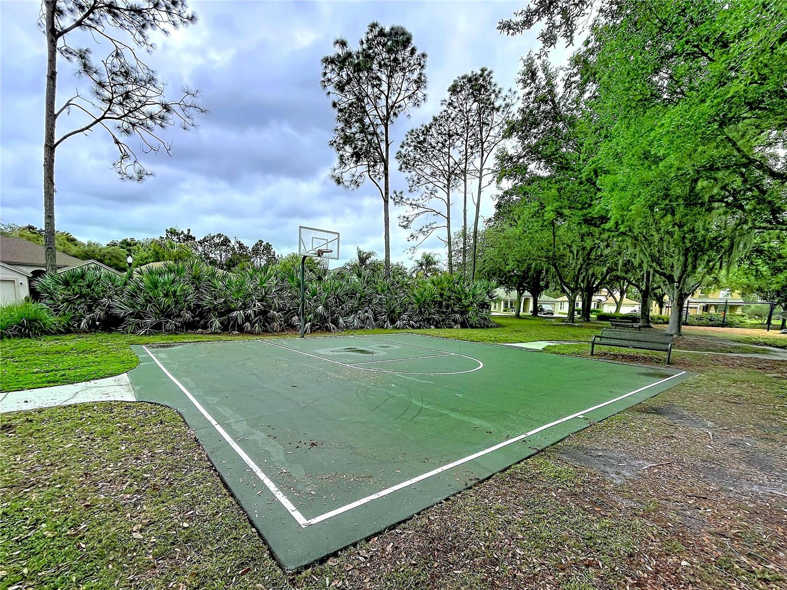 SEVEN OAKS PRCL S-8B1 - Residential