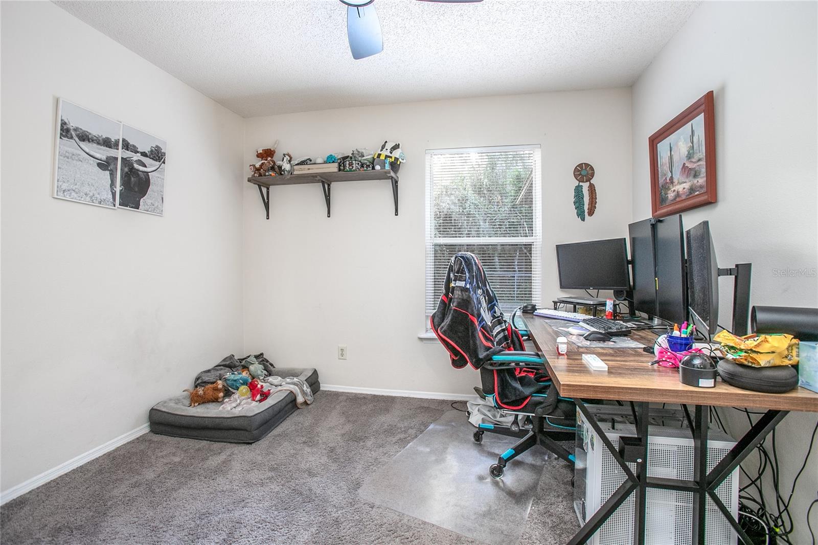 CORNELIA HEIGHTS - Residential