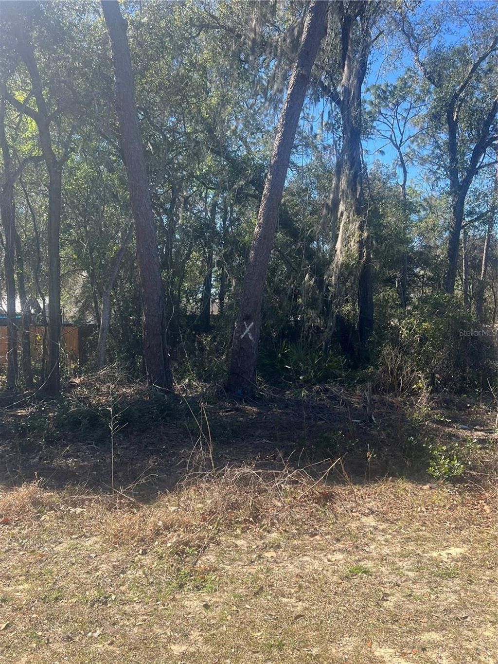 Photo of W Second Avenue, Umatilla, FL 32784 (MLS # G5108760)