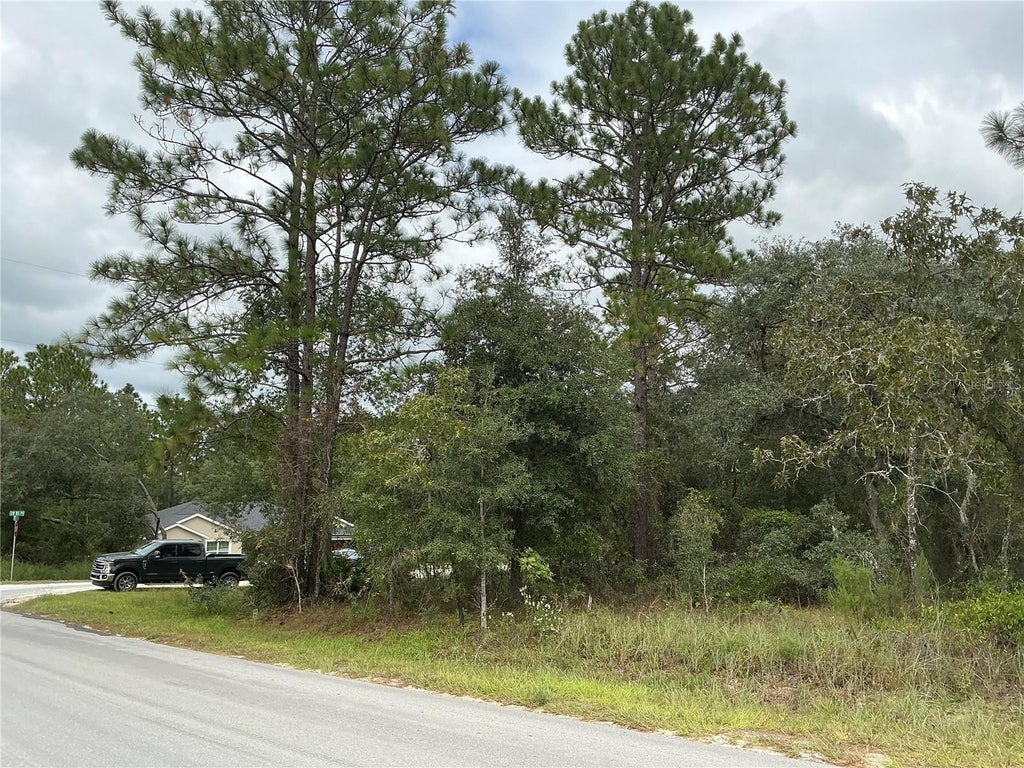 Photo of SW 85th Place, Ocala, FL 34473 (MLS # OM734613)