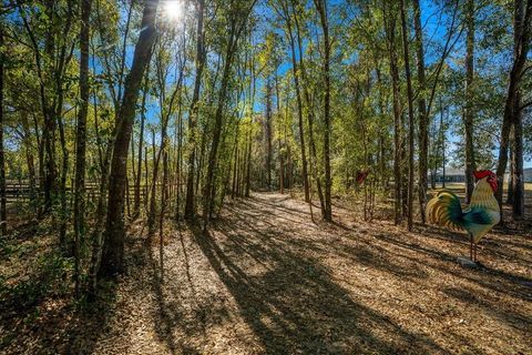 Tiny photo for 6655 NW 145th Avenue Road, Morriston, FL 32668 (MLS # OM719513)