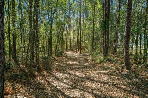 Tiny photo for 6655 NW 145th Avenue Road, Morriston, FL 32668 (MLS # OM719513)