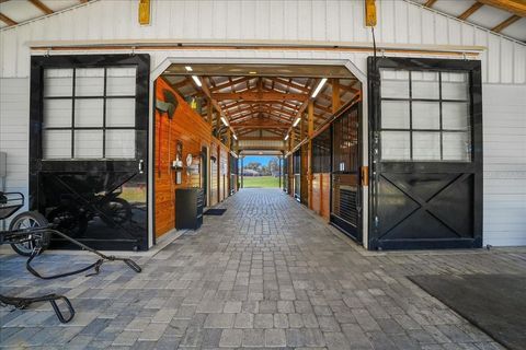 Tiny photo for 6655 NW 145th Avenue Road, Morriston, FL 32668 (MLS # OM719513)