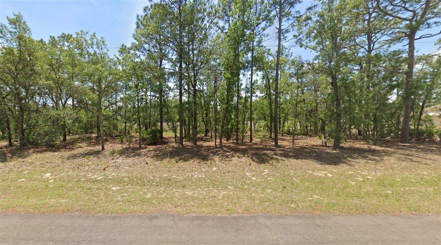 Build your Florida dream on this .23-acre homesite located in the desirable Citrus Springs community! Situated on a paved road with public utilities available, this buildable lot offers the perfect blend of convenience and opportunity. Enjoy a peaceful residential setting while staying close to everything you need—just 15 minutes to Dunnellon, 12 minutes to the rapidly growing Lecanto area, and only 20 minutes to the Suncoast Parkway for easy commuting to Tampa and beyond. Whether you're ready to build now or invest for the future, this property is a smart choice in a growing area.