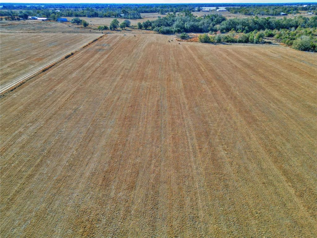 Photo of Cecil Durrance Road, Zolfo Springs, FL 33890 (MLS # P4937892)