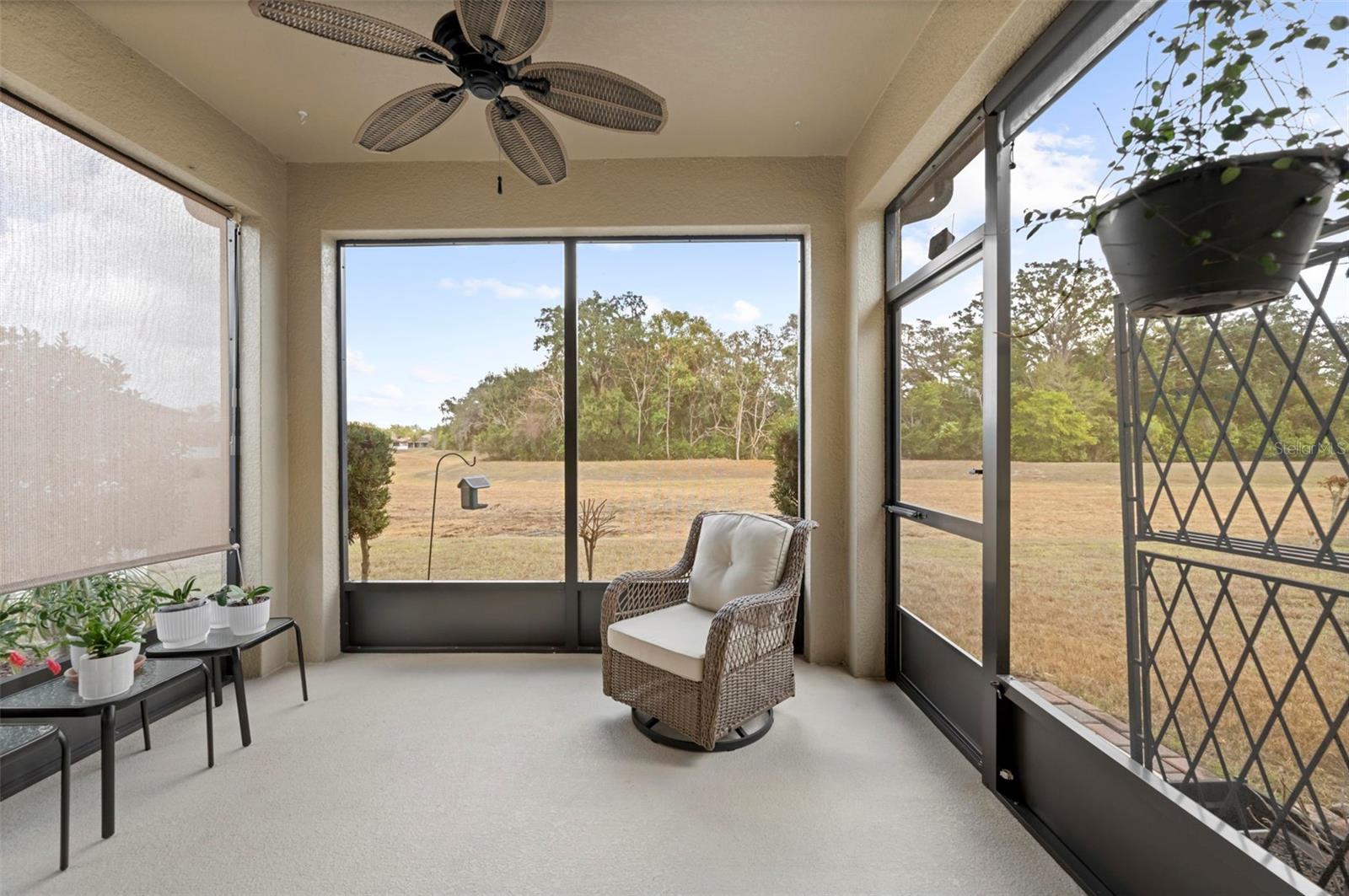 TRILLIUM VILLAGE E PH 1 - Residential