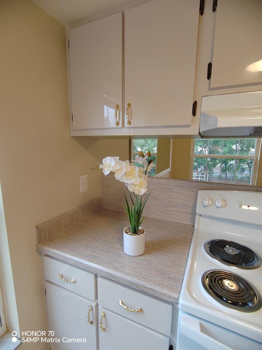 WILLIAMSBURG CONDO - Residential