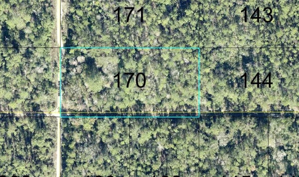 170 DILLON AVENUE, HASTINGS, FL 32145 - Image af155902a4e5b1c0105db9defd752bf0/4133378507