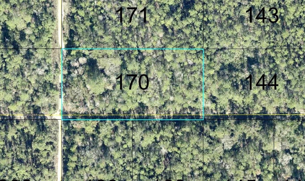 Photo of 170 Dilllion Avenue, Hastings, FL 32145 (MLS # FC321948)