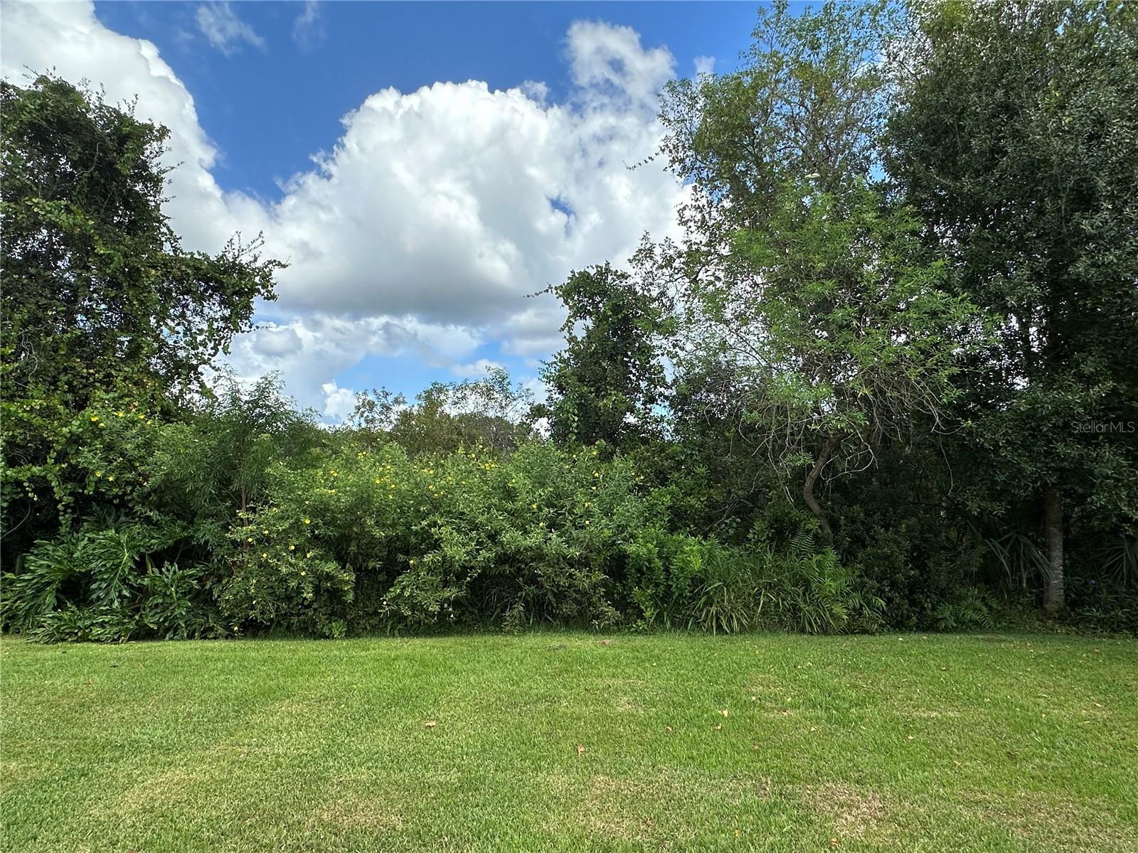 PLANTATION AT LEESBURG GREENTREE - Residential