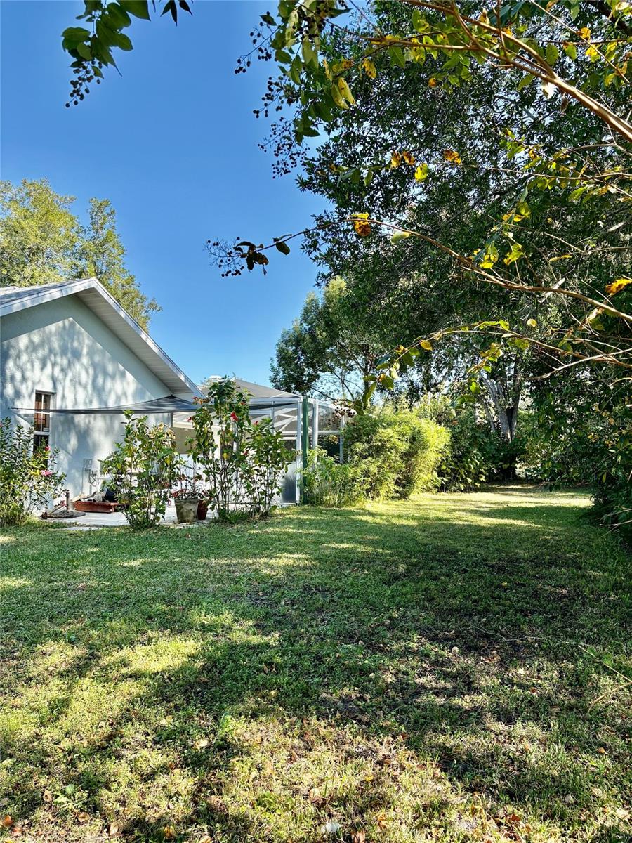 RAINBOW SPGS 5TH REP - Residential